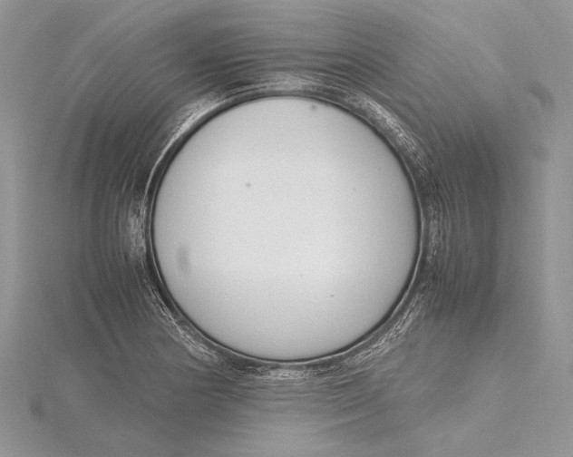 X0000115761178200912041404