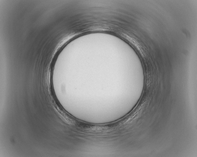 X0000115761179200912041404