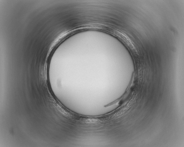 X0000115761180200912041404