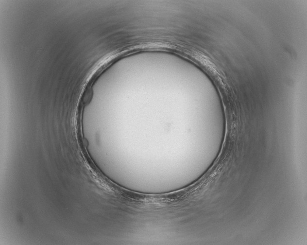 X0000115761181200912041404