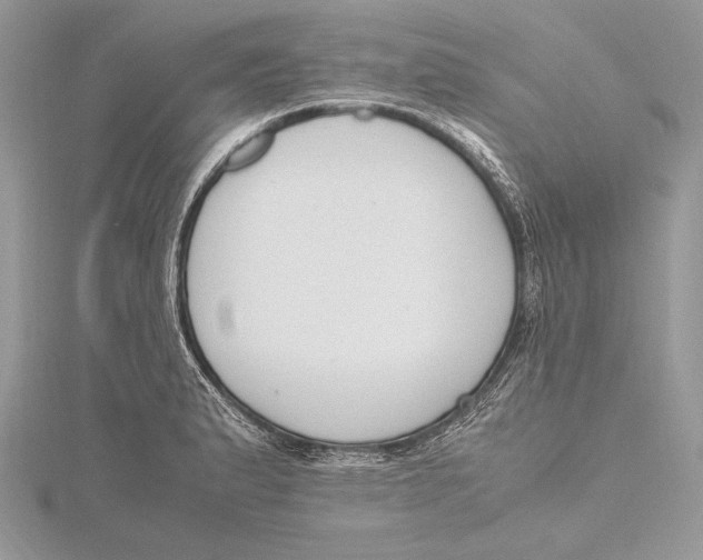 X0000115761183200912041404