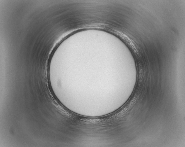 X0000115761184200912041404