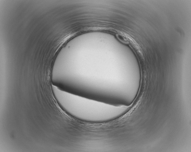 X0000115761185200912041404