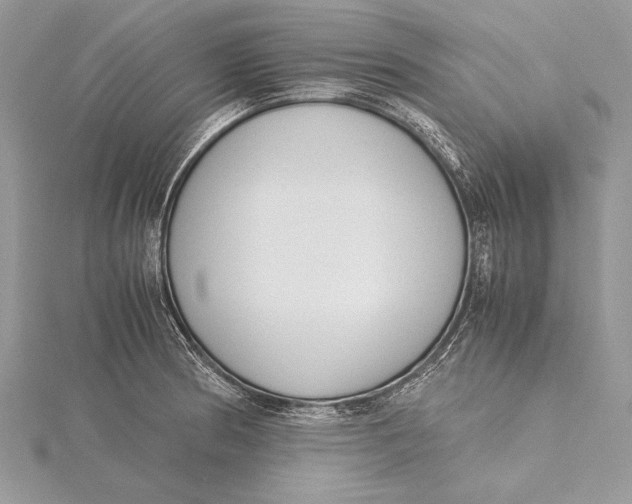 X0000115761186200912041404