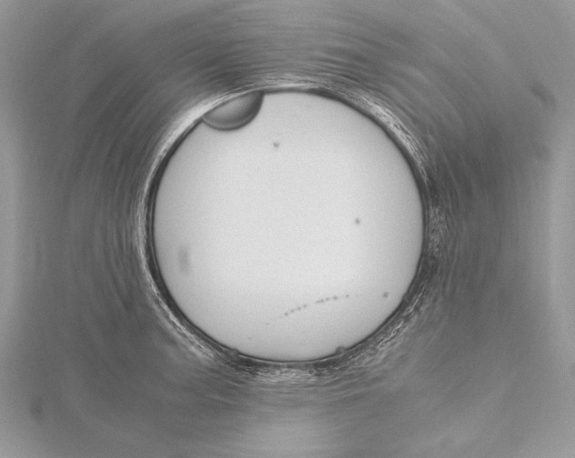 X0000115761187200912041404