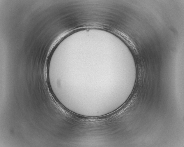 X0000115761188200912041404