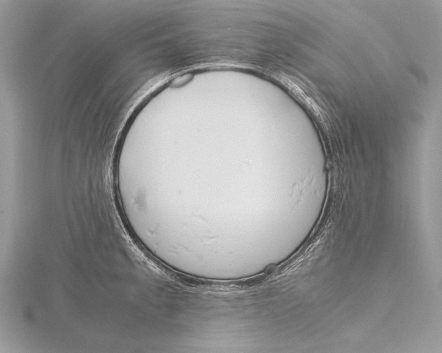 X0000115761189200912041404