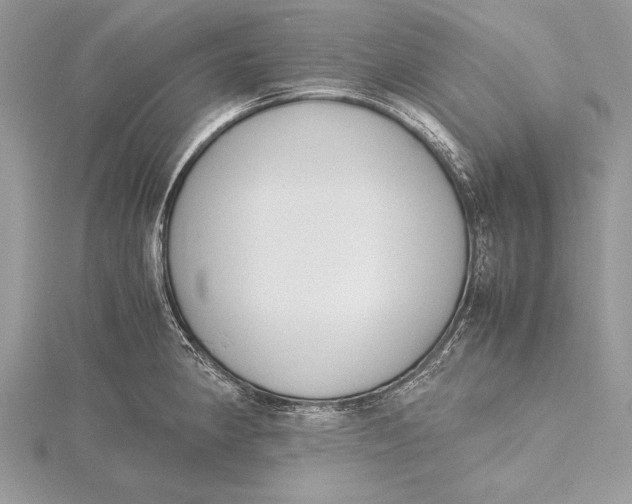 X0000115761190200912041404