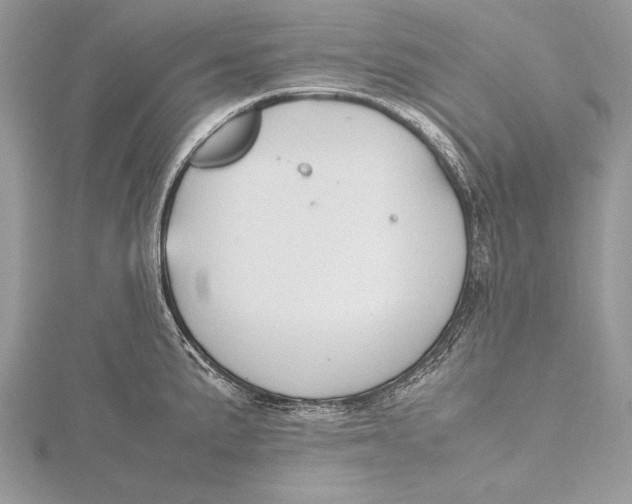 X0000115761191200912041404