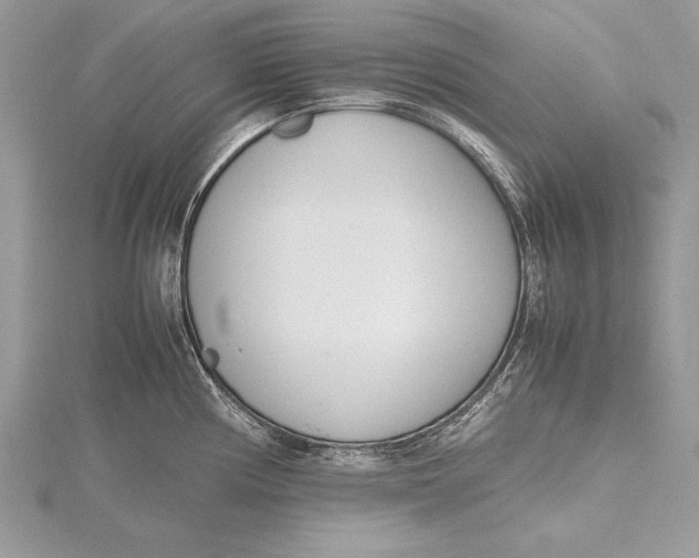 X0000115761194200912041404