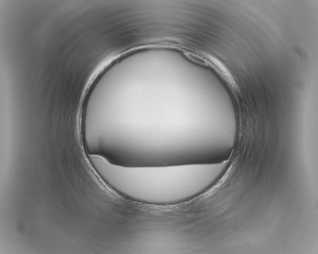 X0000115761196200912041404