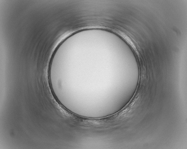 X0000115761197200912041404