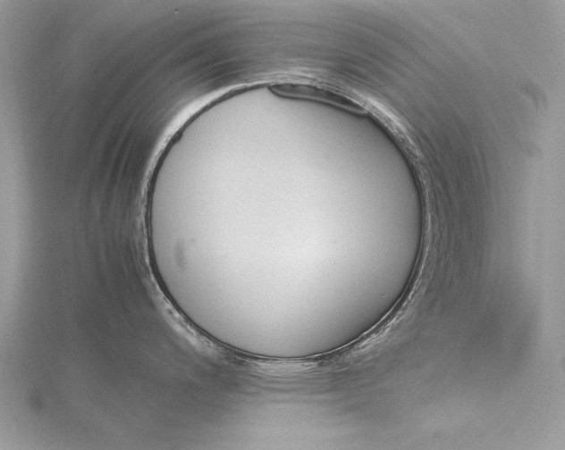 X0000115761200200912041404