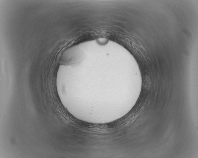 X0000115761201200912041403