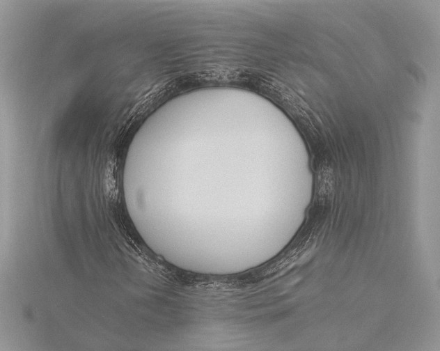 X0000115761202200912041403