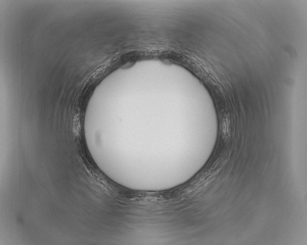 X0000115761204200912041403