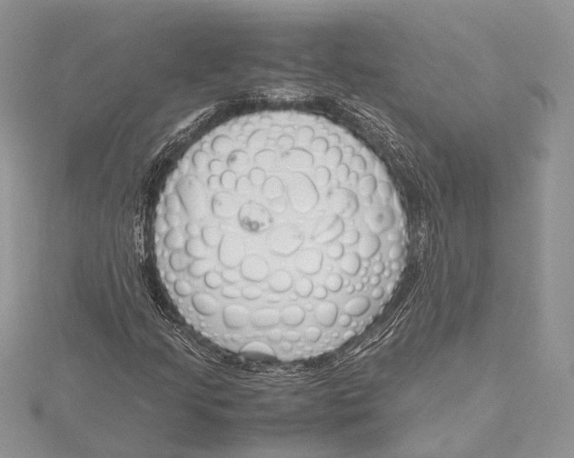 X0000115761205200912041403