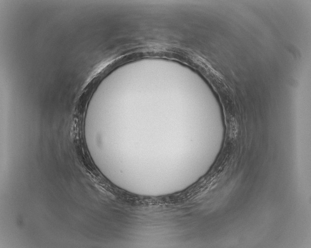 X0000115761208200912041403