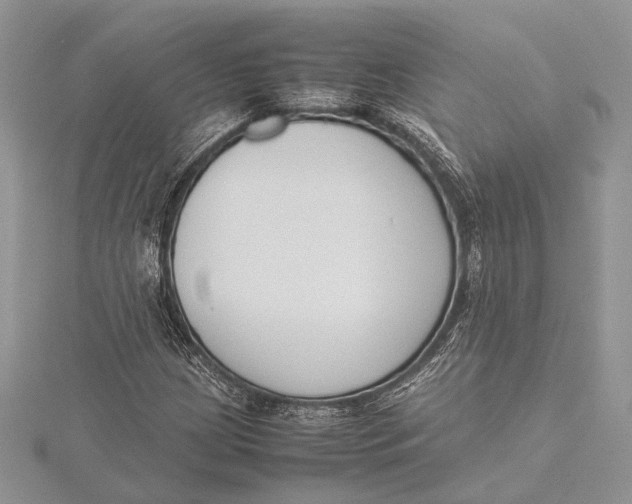 X0000115761209200912041403