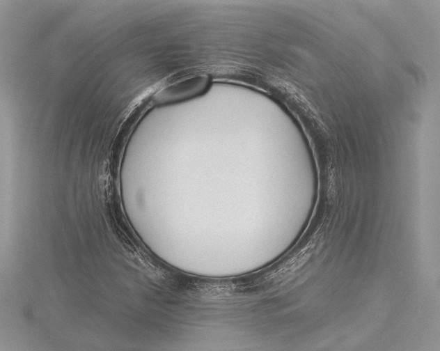 X0000115761210200912041403