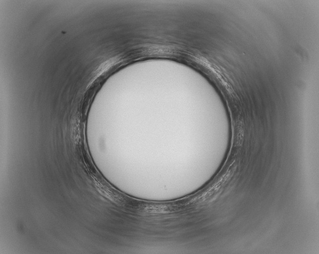 X0000115761211200912041403