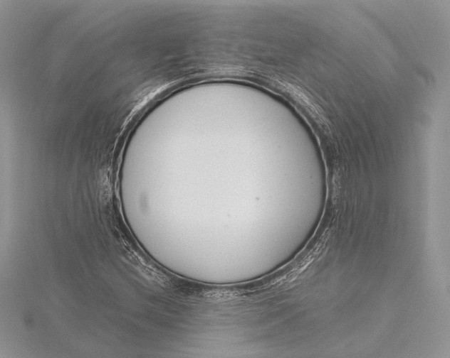 X0000115761212200912041403