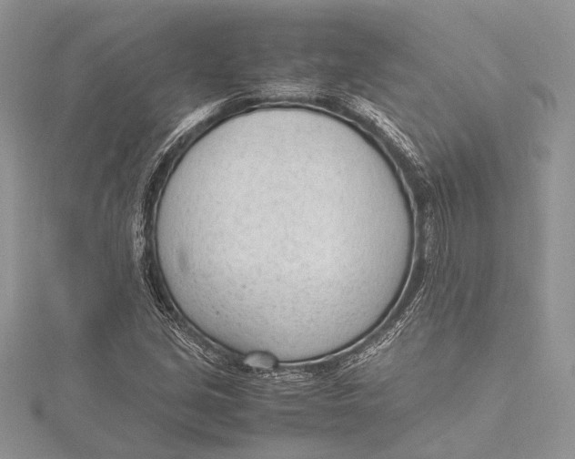 X0000115761213200912041403