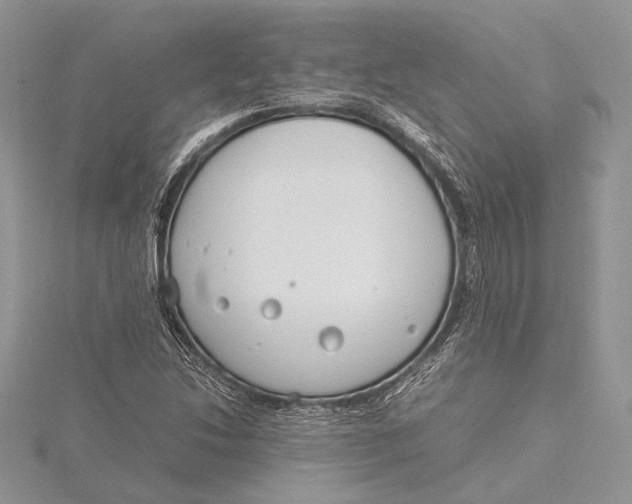 X0000115761214200912041403