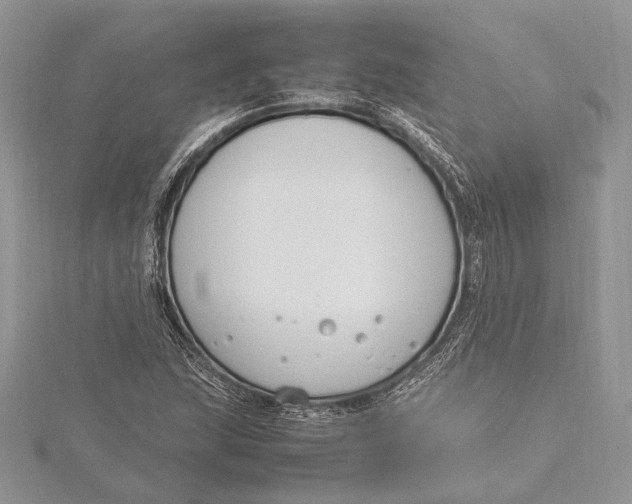 X0000115761215200912041403