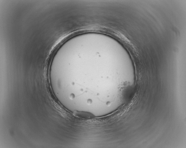 X0000115761216200912041403