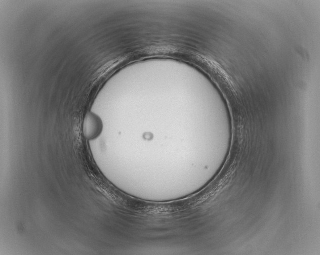 X0000115761217200912041403