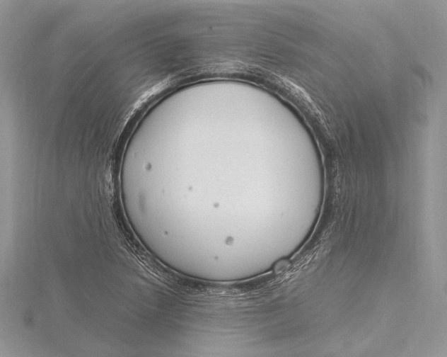 X0000115761218200912041403