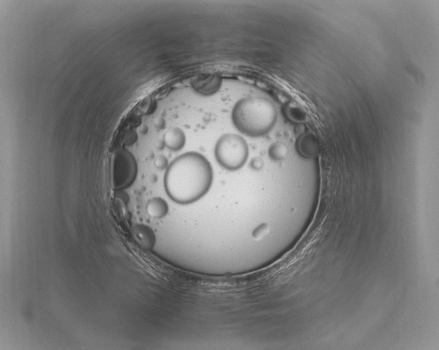 X0000115761219200912041403