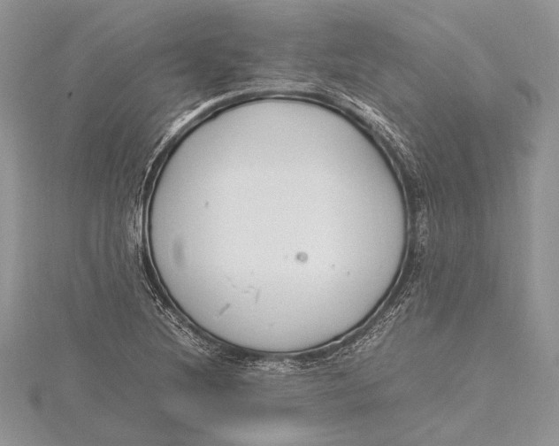 X0000115761220200912041403