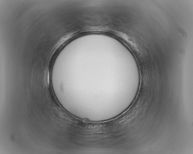 X0000115761221200912041403