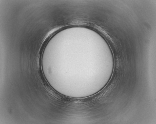 X0000115761222200912041403