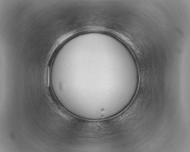 X0000115761223200912041403