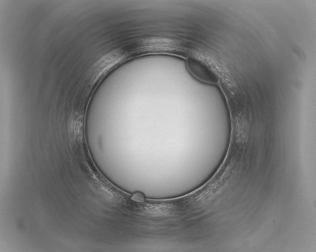 X0000115761225200912041403