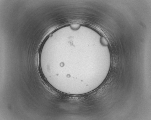 X0000115761227200912041403