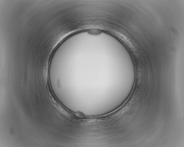 X0000115761228200912041404