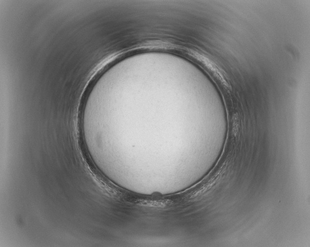 X0000115761229200912041404