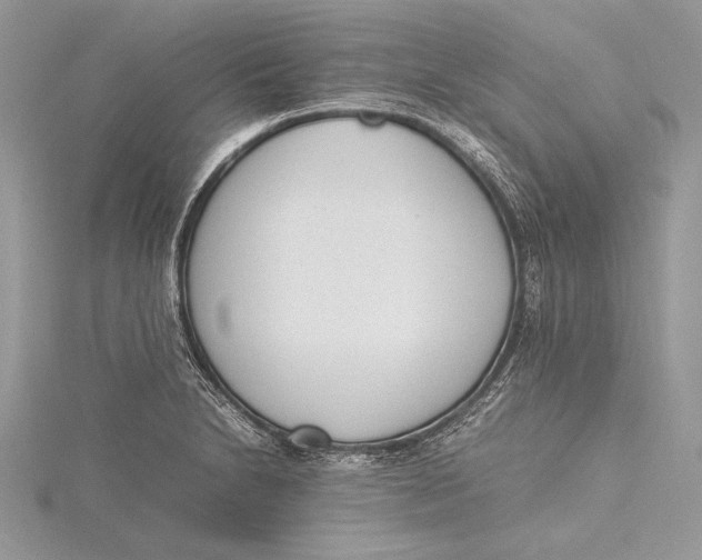 X0000115761230200912041404