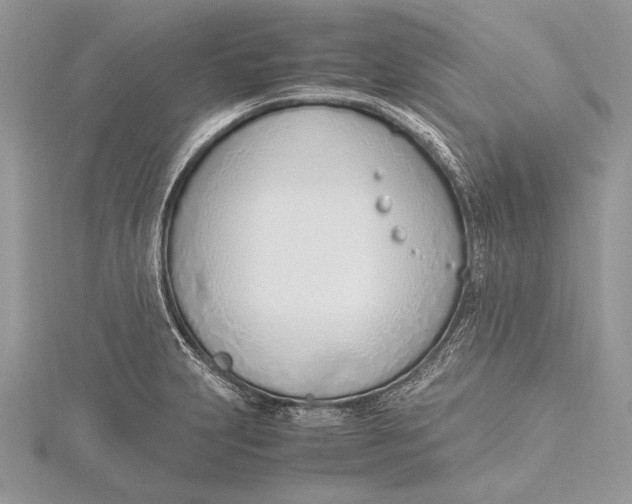 X0000115761231200912041404