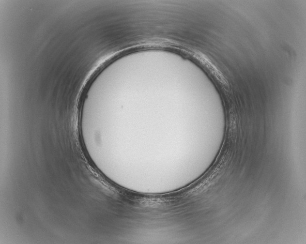 X0000115761232200912041404