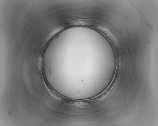 X0000115761233200912041404