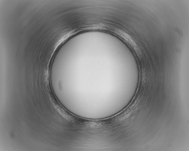 X0000115761234200912041404