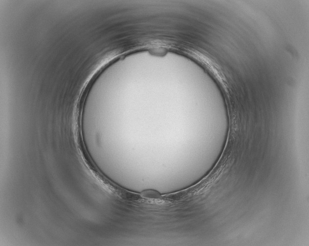 X0000115761235200912041404