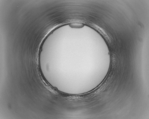 X0000115761236200912041404