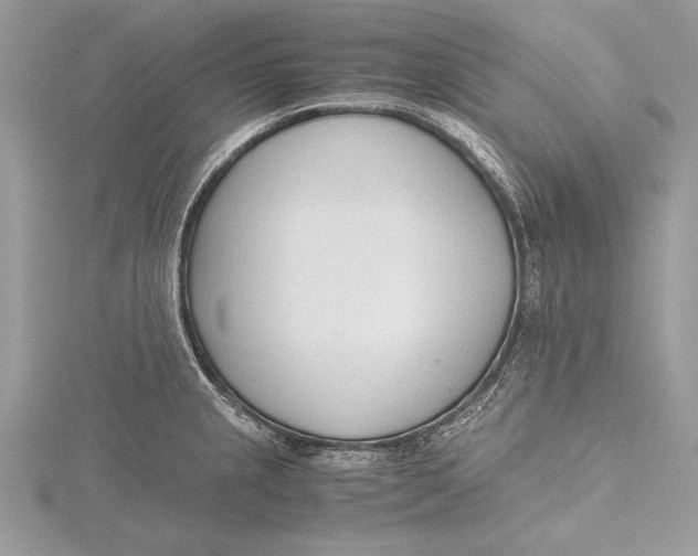 X0000115761237200912041404