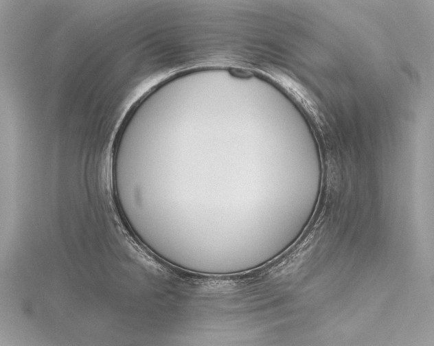 X0000115761238200912041404